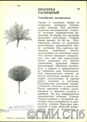 обратная сторона