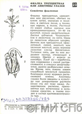 Обратная сторона