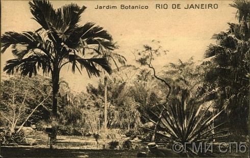 Ботанический сад Рио-де-Жанейро (Botanical Garden of Rio de Janeiro)