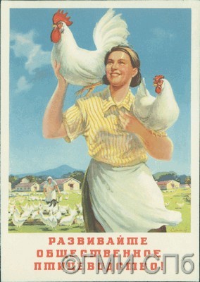 Развивайте общественное птицеводство!   1950